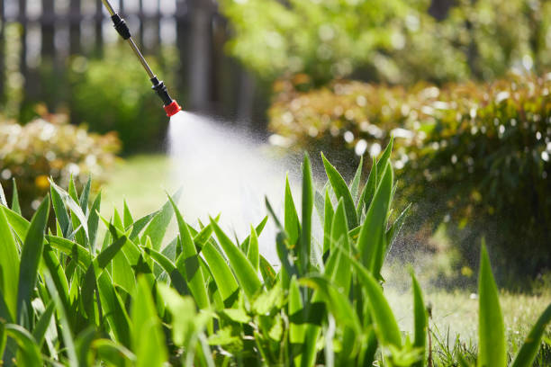 Tamper-Resistant Bait Stations for Rodents in Second Mesa