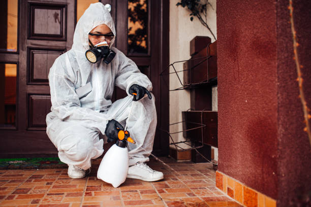 Attic and Crawl Space Rodent Treatment in Second Mesa